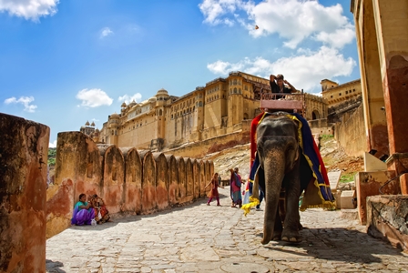 Inde Fort Amber